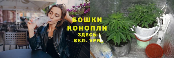 эйфоретик Белокуриха