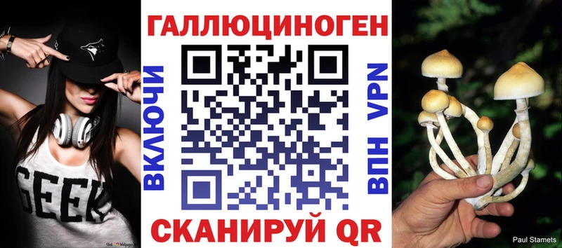 наркота Плавск Галлюциногенные грибы Psilocybine cubensis