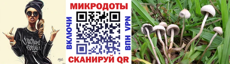 Псилоцибиновые грибы прущие грибы Плавск