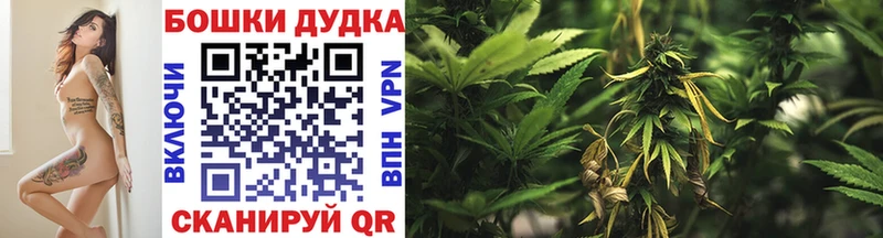 как найти наркотики  Плавск  МАРИХУАНА семена 