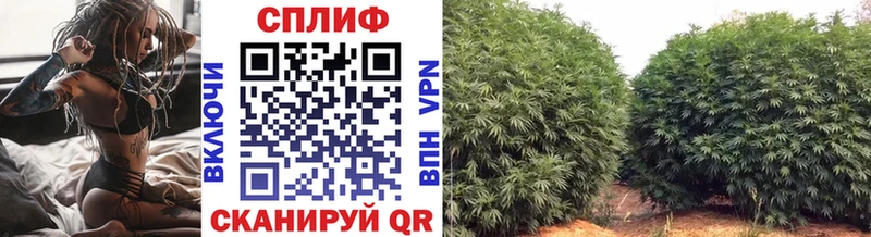 Бошки Шишки гибрид Плавск